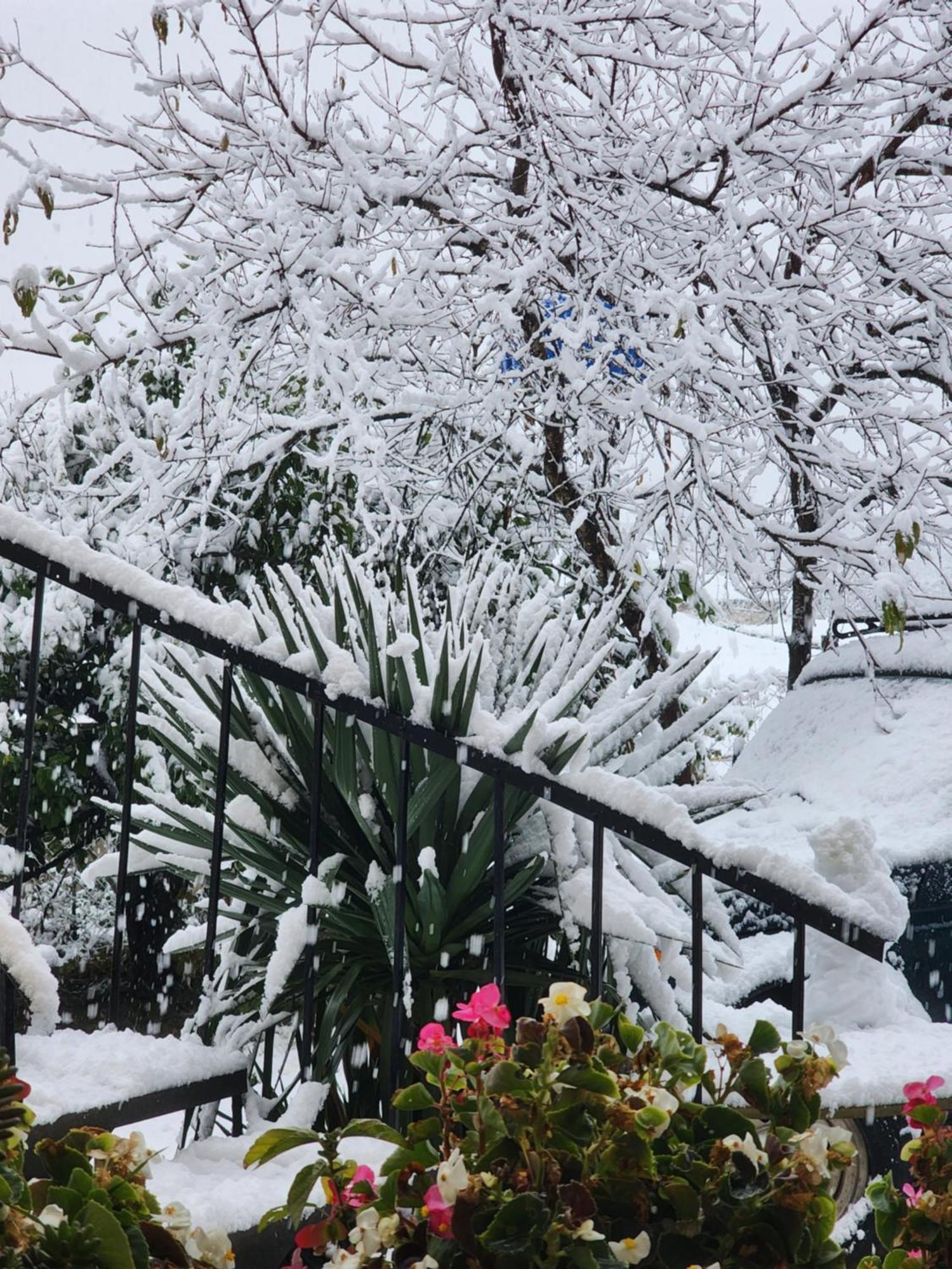 My Home Κουτάισι Εξωτερικό φωτογραφία
